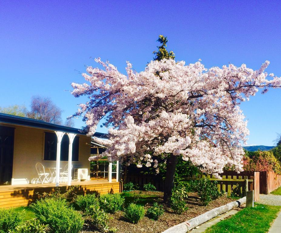 Milford Road Apartments Te Anau Exterior photo